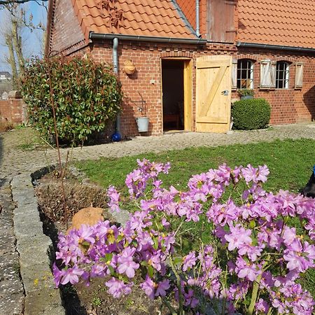 Ferienhaus Voern-Diek Hohnstorf Eksteriør bilde